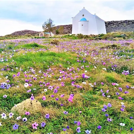 Liviko View * Xerokampos (Crete)